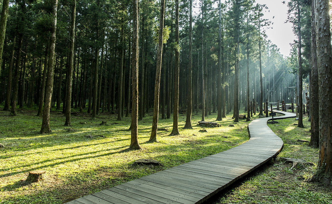 자연문화의 중심